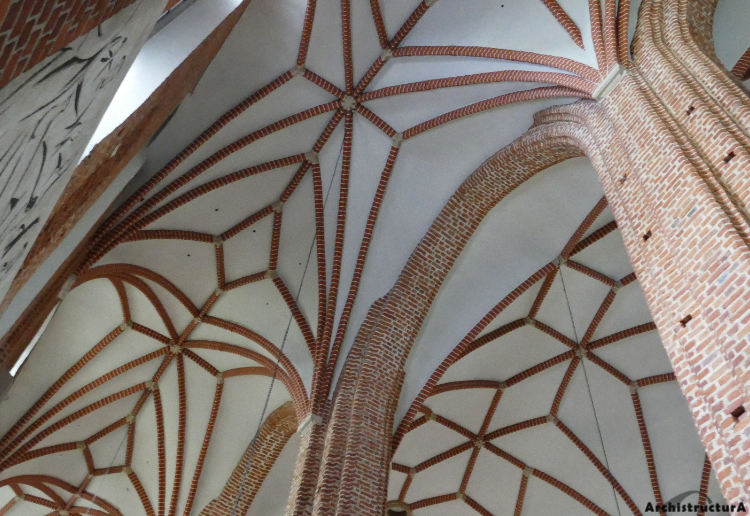 Katedra
